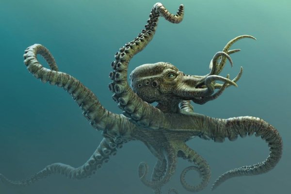 Kraken дарк магазин
