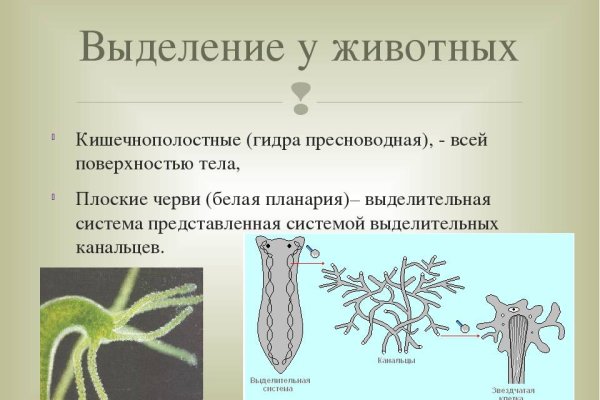 Как войти в кракен