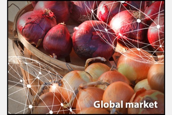Ссылка на кракен 2krnmarket