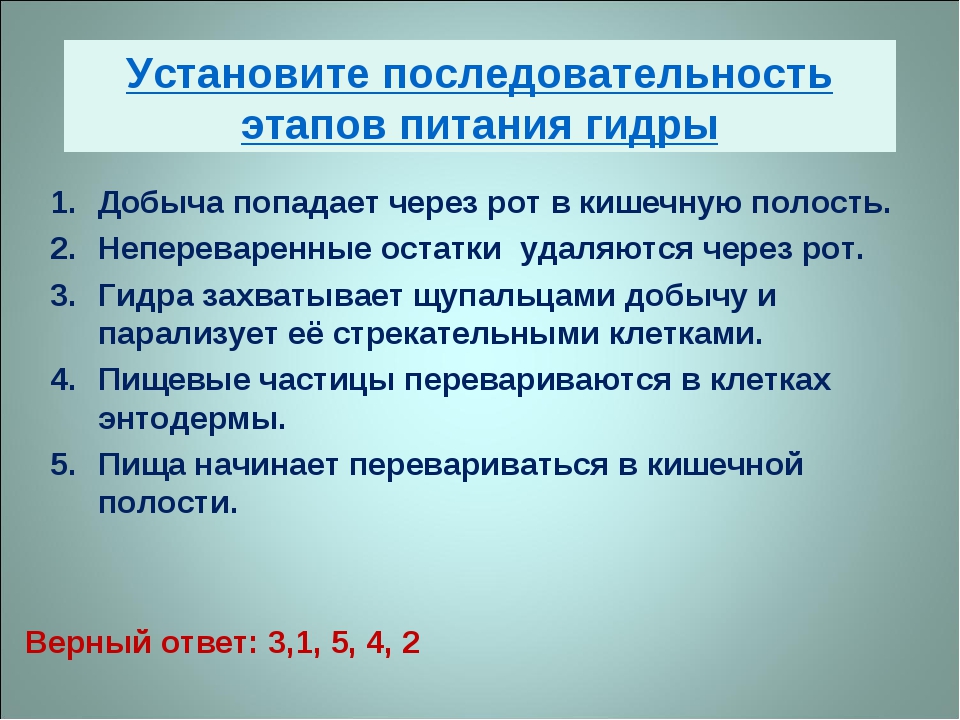 Ссылка на сайт кракен в тор браузере